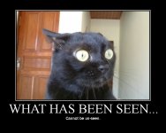 what-seen.jpg