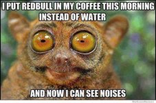 redbull.jpg