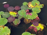 20141001_142053.jpg