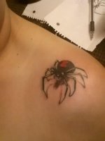 spider.jpg