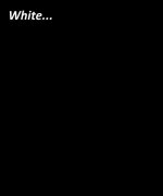 White.jpg
