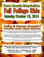 fallfoliage2014.jpg