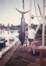 marlin.jpg