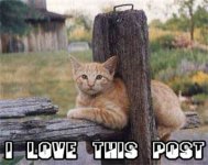 love-this-post_zpsbdc82b45.jpg