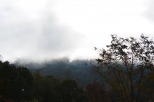 foggy.jpg