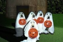 Halloween Costume 02.jpg