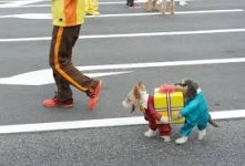 Halloween Costume.jpg