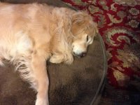 IMG_1178.jpg