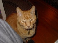 DSC02538.JPG