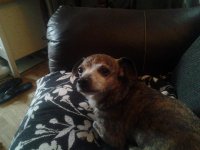 20140404_075822.jpg