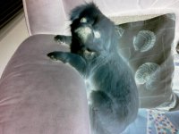 20130505_101219.jpg