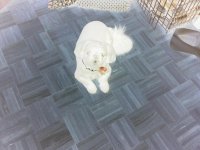 20130505_101322.jpg