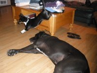 Picture 036-1.jpg