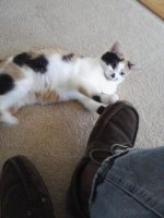 Image10252012130528.jpg