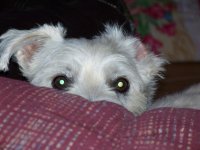 100_0013.jpg