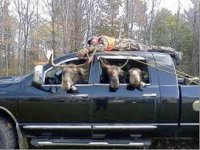 Moose Hunters.jpg