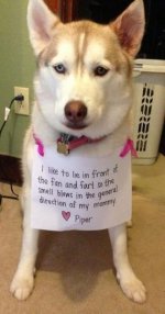 dog fart.jpg