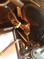 IMG_0426_2.jpg