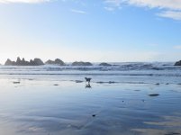 December ride to Coast 001.jpg