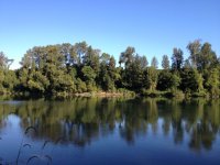 Badger Lake.jpg