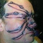 Spyder Lover.jpg