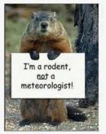 I'm a Rodent, Not a Meteorologist.jpg