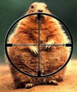 Crosshairs.jpg