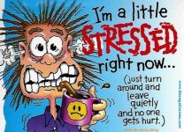 stressed1.jpg