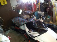 20150217_155502.jpg