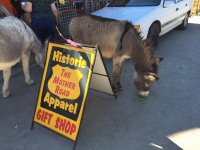 oatman 8.jpg