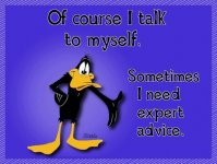 Daffy 2.jpg
