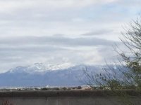 snow IMG_0382.jpg