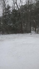 20150224_105205.jpg