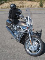 Vrod.jpg