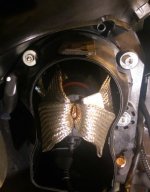 Inside Fog Lamp.jpg