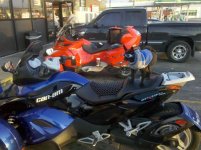 IMG_20111030_083434.jpg