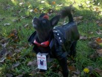 IMG_20111008_102956.jpg