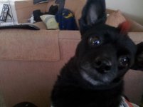 IMG_20111107_121023.jpg