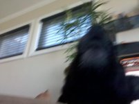 IMG_20111107_121051.jpg