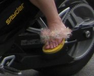 Spyders in the ADKS 7-28-11 254.jpg