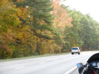 fallcolor.jpg