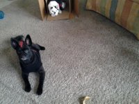 20111018_170024.jpg