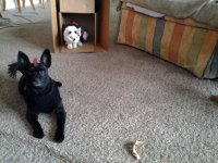 20111018_170032.jpg