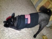 20111018_165621.jpg