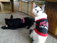20111018_165725.jpg