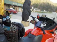 IMG_20111113_161528.jpg