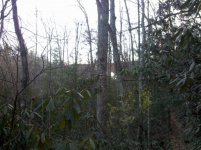 IMG_20111113_151646.jpg