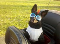 IMG_20111108_162537.jpg