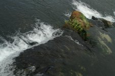 PICT0015.jpg