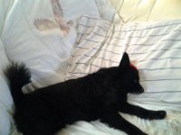 20111124_151942.jpg